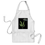 Badis badis and Aponogeton undulatus Black Apron