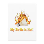 Badminton Birdie is Hot Post Card