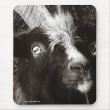 Bagot Goat Portrait Old Style Mousepad