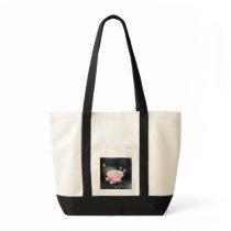 bags & a rose