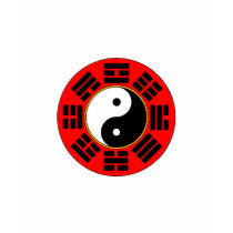 Bagua trigram ladies top t-shirts