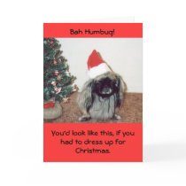 Bah Humbug!