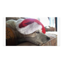 Bah Humbug! Photo Card
