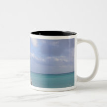 BAHAMAS, Grand Bahama Island, Eastern Side: Mugs