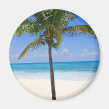 Bahamas Palm Tree Refrigerator Magnets