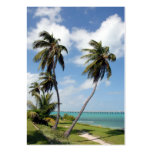 bahia honda state park and seven mile bridge business cards