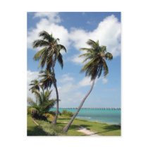 Bahia Honda State Park And Seven Mile Bridge Post Cards