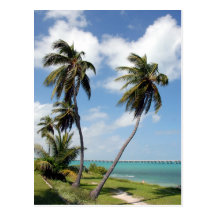 Bahia Honda State Park And Seven Mile Bridge Post Cards