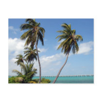Bahia Honda State Park Florida Keys Postcard