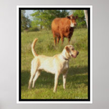 BAILEY AND THE COW POSTER