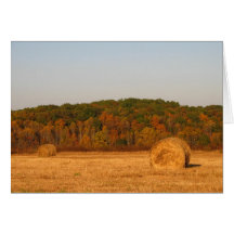 Bails of Hay Greeting Cards