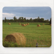 Bails Of Hay Mouse Pads