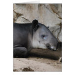 Baird's Tapir Greeting Card
