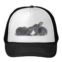 Baiser de lapin casquette