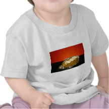 Baked potato with sour cream, against orange backg tshirt