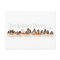 Bakers Dozen Basset Hound Puppies Postcard