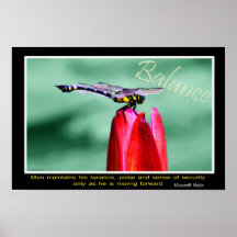 Balance Posters