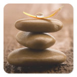 Balance sticker