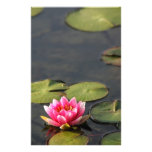 balboa park Lily stationary Customized Stationery