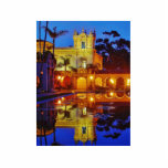 Balboa Parks Ponds Reflections Lights Night Mornin Photo Sculptures