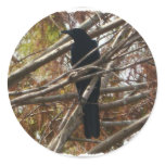 balckbirdittree round sticker