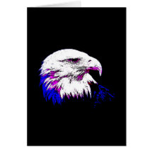 Bald American Eagle Cards