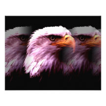 Bald American Eagle Custom Invitations
