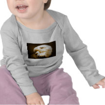 Bald American Eagle Eye T Shirt