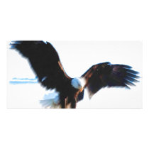 Bald American Eagle Landing Photo Card