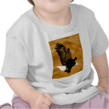 Bald American Eagle Shirt