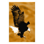 Bald American Eagle Stationery