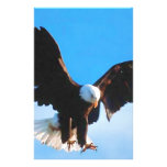 Bald American Eagle Stationery
