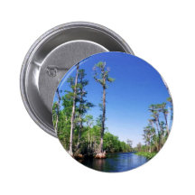 Bald Cypress swamp Pinback Buttons