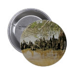 Bald cypress trunk and knees buttons