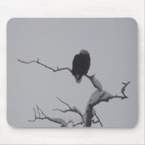 Bald Eagle #1 Mouse Pads