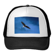 Bald-Eagle-Alaska Mesh Hats
