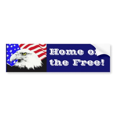 Bald Eagle and American Flag Bumper Stickers by kingdomofanimals