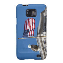 Bald Eagle And American Flag casemate cases