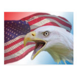 Bald Eagle and American Flag Postcard