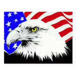 Bald Eagle and American Flag Postcard