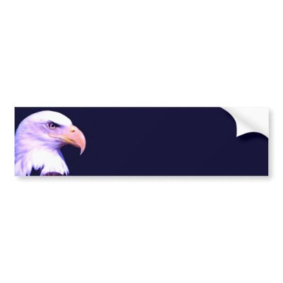 Bald Eagle Bumper Sticker by made_in_atlantis