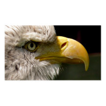 BALD EAGLE BUSINESS CARD TEMPLATES
