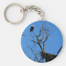 Bald Eagle by its nest key chain