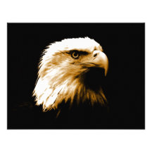 Bald Eagle Custom Invite