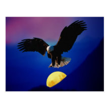 Bald eagle descends onto the moon post card