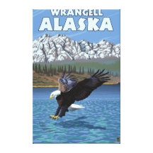 Bald Eagle Diving - Wrangell, Alaska Canvas Prints