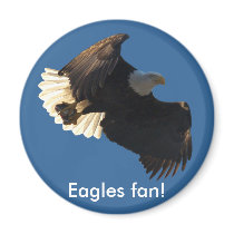 Bald Eagle Flight Collection II Magnets