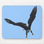 Bald Eagle Flight Collection Mouse Mats