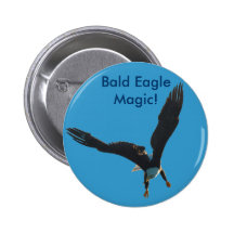 Bald Eagle Flight Collection Pins
