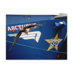 Bald Eagle flying past the F/V Arcturus